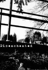 Disenchanted