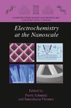 Electrochemistry at the Nanoscale