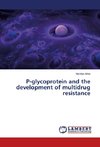 P-glycoprotein and the development of multidrug resistance