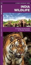 India Wildlife: A Folding Pocket Guide to Familiar Animals