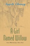 A Girl Named Willow