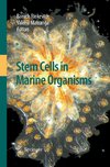 Stem Cells in Marine Organisms