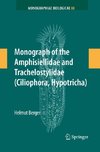 Monograph of the Amphisiellidae and Trachelostylidae (Ciliophora, Hypotricha)