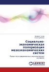 Sotsial'no-ekonomicheskaya polyarizatsiya mezoekonomicheskikh sistem