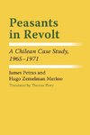 Peasants in Revolt