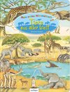 Mein erstes Wimmelbuch: Tiere aus aller Welt