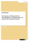 Die sozialen und ökonomischen Auswirkungen von Ölkatastrophen am Beispiel der Deepwater Horizon