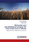 Molecular and morphological analysis for Stay Green trait in Wheat