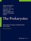 The Prokaryotes