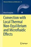 Convection with Local Thermal Non-Equilibrium and Microfluidic Effects