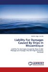 Liability For Damages Caused By Ships In Mozambique