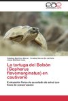 La tortuga del Bolsón (Gopherus flavomarginatus) en cautiverio