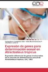 Expresión de genes para determinación sexual en Atractosteus tropicus