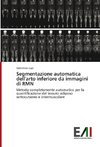 Segmentazione automatica dell'arto inferiore da immagini di RMN