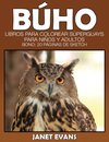 Buho