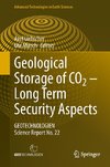 Geological Storage of CO2: Long Term Security Aspects