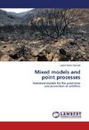 Mixed models and point processes