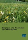 Erkennen und Bestimmen der Wiesengräser