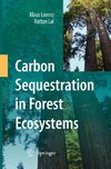 Carbon Sequestration in Forest Ecosystems