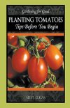 Planting Tomatoes