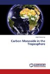 Carbon Monoxide in the Troposphere