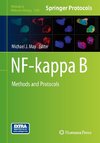 NF-kappa B