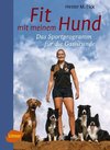 Fit mit meinem Hund