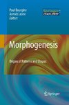 Morphogenesis