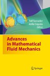 Advances in Mathematical Fluid Mechanics