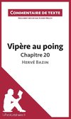 Commentaire composé : Vipère au poing d'Hervé Bazin - Chapitre 20