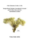 Images from Lichenes Australasici Exsiccati and of other characteristic Australasian Lichens. Volume One