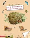 Tiere entdecken in ihren Verstecken