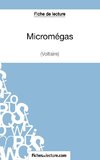 Micromégas de Voltaire (Fiche de lecture)