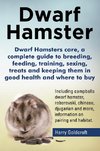 Dwarf Hamsters care, a complete guide to breeding, feeding, training, sexing, treats and keeping them in good health and where to buy