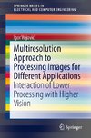 Multiresolution Approach to Processing Images for Different Applications