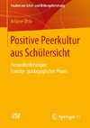 Positive Peerkultur aus Schülersicht