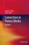 Convection in Porous Media