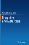 Morphine and Metastasis