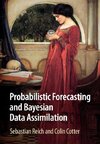 Probabilistic Forecasting and Bayesian Data Assimilation