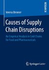 Causes of Supply Chain Disruptions