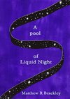A pool of Liquid Night