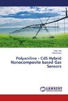 Polyaniline - CdS Hybrid Nanocomposite based Gas Sensors