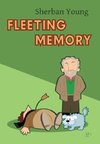 Fleeting Memory