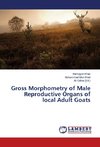 Gross Morphometry of Male Reproductive Organs of local Adult Goats