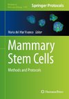 Mammary Stem Cells