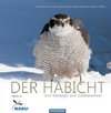 Der Habicht