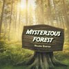 Mysterious Forest