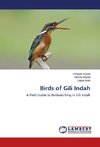 Birds of Gili Indah