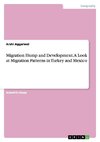 Migration Hump and Development. A Look at Migration Patterns in Turkey and Mexico