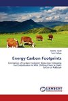 Energy Carbon Footprints